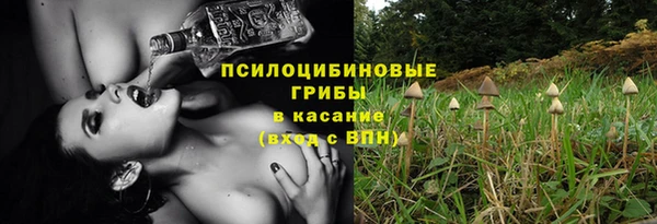 прущая мука Абаза