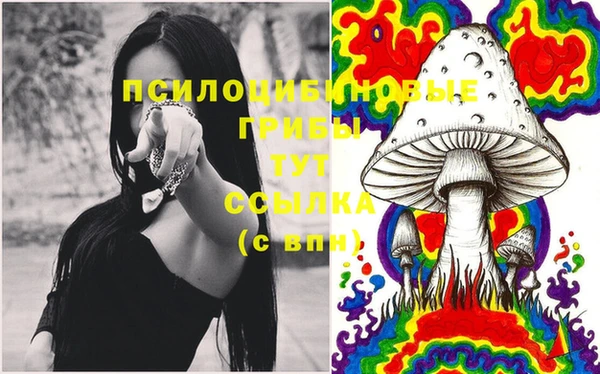 прущая мука Абаза